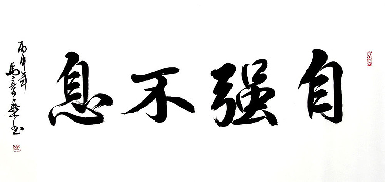 中书协会员 马章乘书法 自强不息