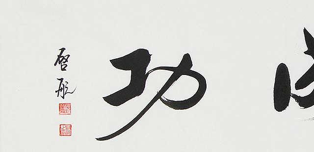 中国书画家协会会员 爱新觉罗 .启航 书法