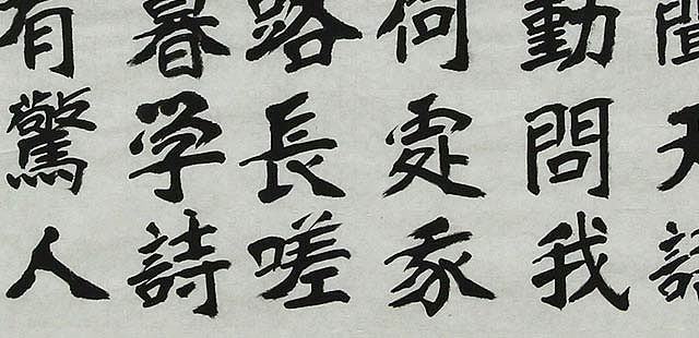 兰州市美术家协会理事 苏凡 书法 书法