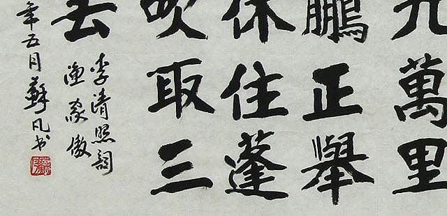 兰州市美术家协会理事 苏凡 书法 书法
