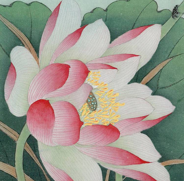 国画 工笔花鸟 团扇精品《碧池幽荷》荷花小品