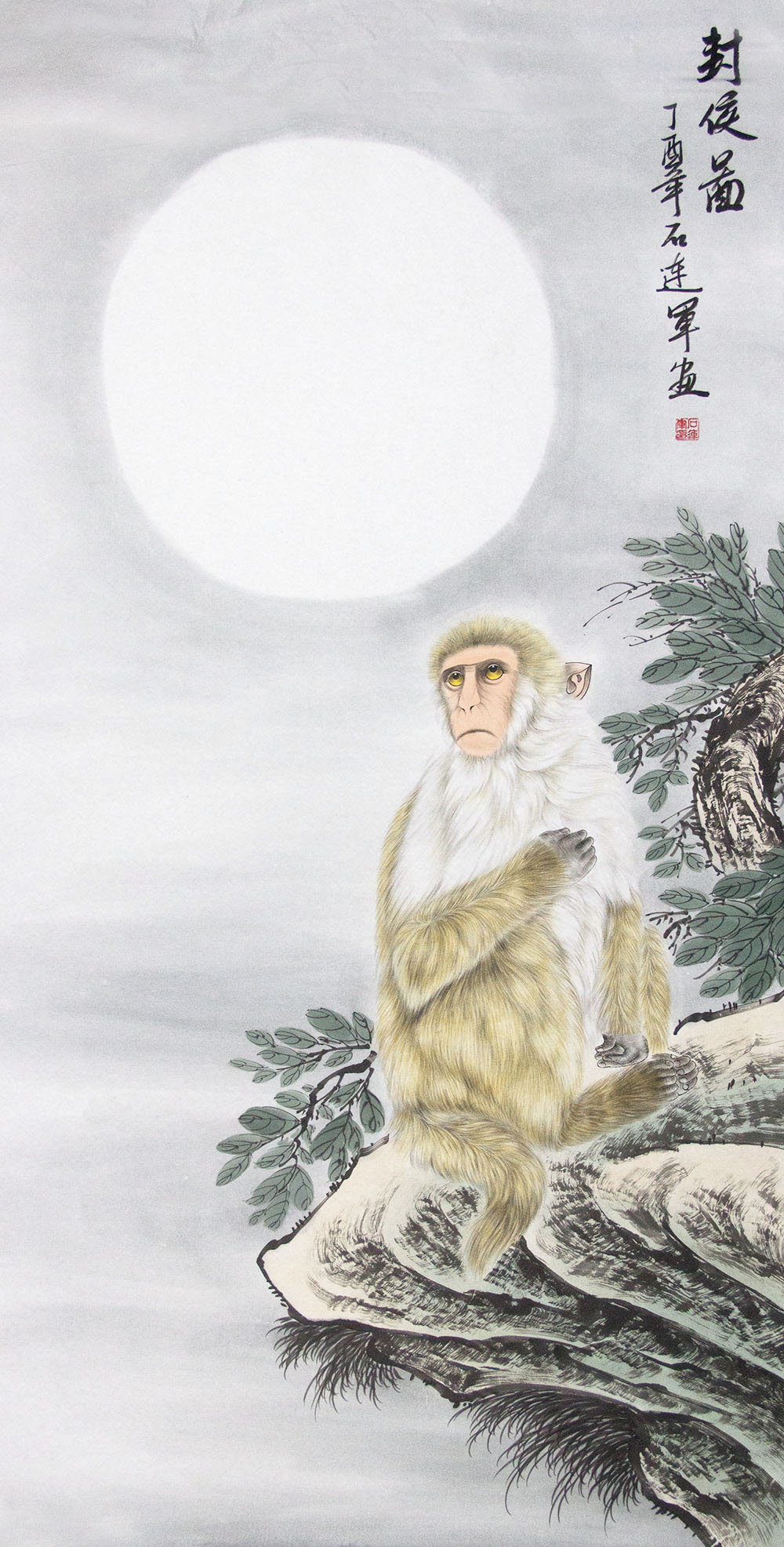 石连军花鸟画赏析:绘画灵猴神韵 寓意代代封候