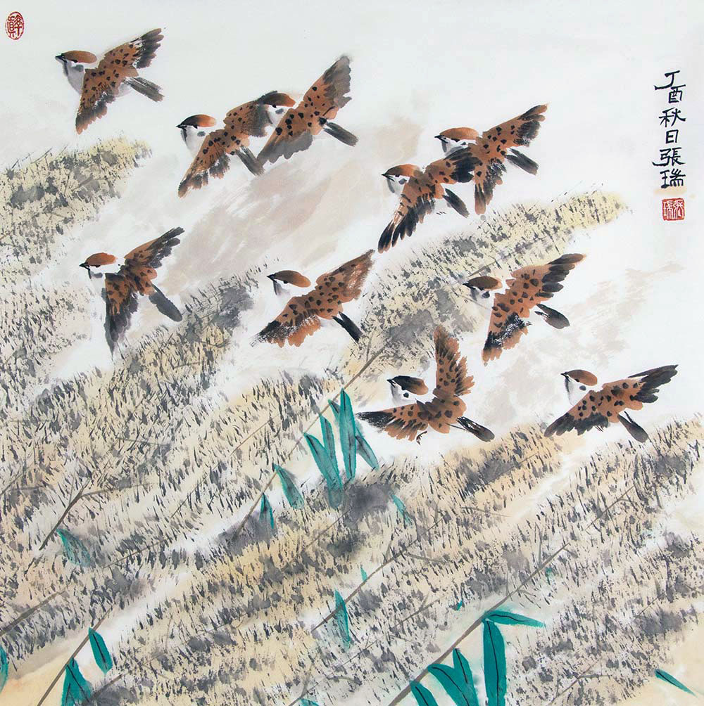 张瑞花鸟画赏析:万紫千红 缤纷绚烂