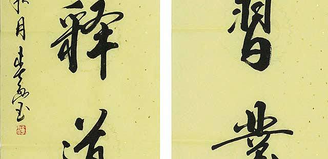 当代著名书法家 王春雨 对联 书法