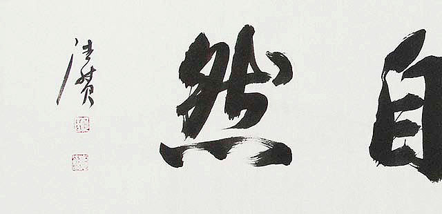 陕西书协会员 何忠富