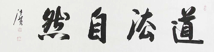 陕西书协会员 何忠富