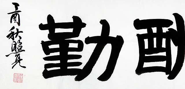 中国书法家协会山东省会员 施照亮 优质 书法