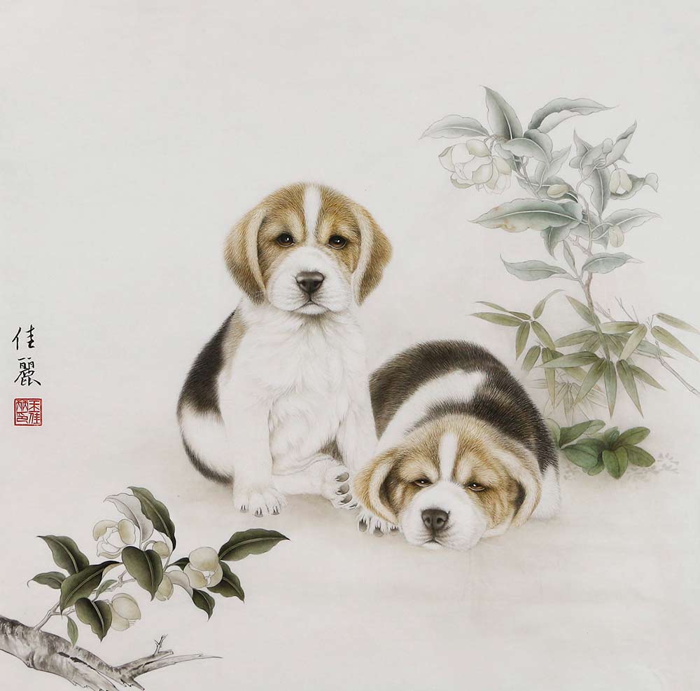 博宝·资讯 | 王佳丽工笔动物作品欣赏:细腻清丽,轻松愉悦