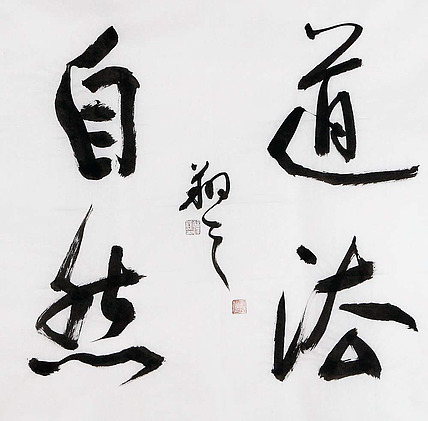 广西书协会员 苏达鹏 精品 书法