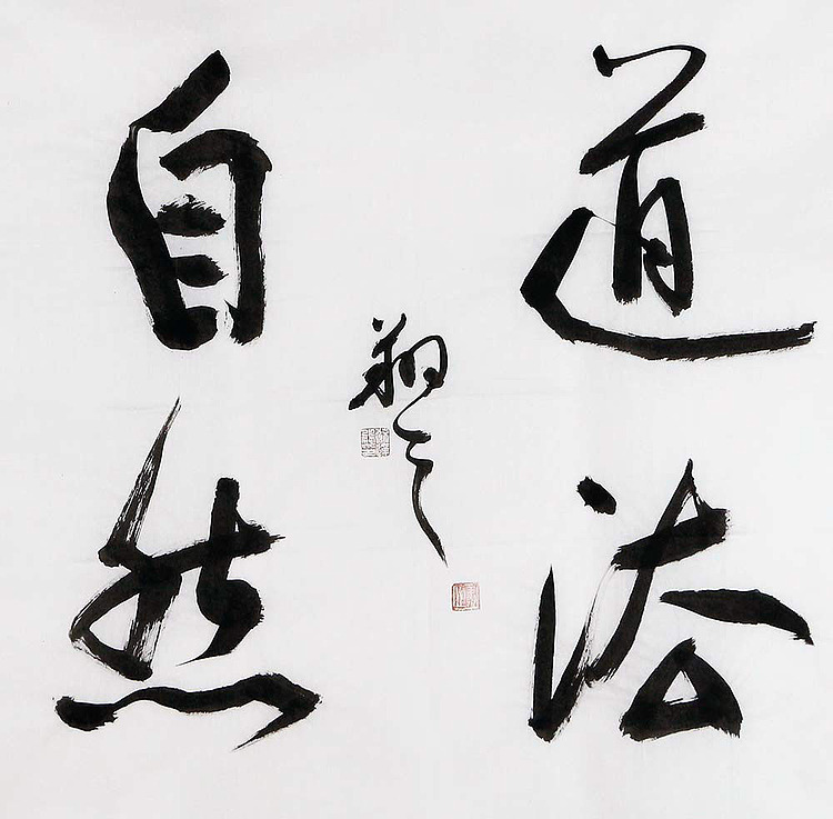 广西书协会员 苏达鹏 精品 书法