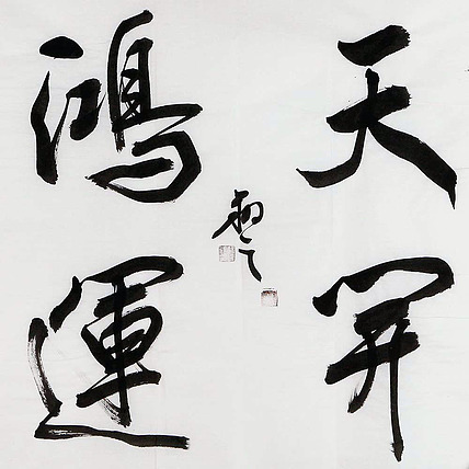 广西书协会员 苏达鹏 精品 书法
