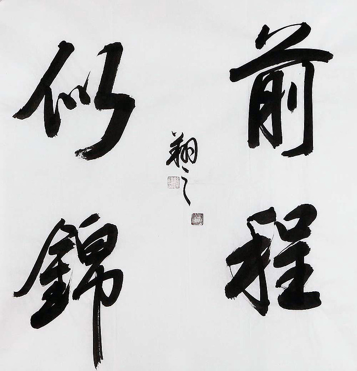广西书协会员 苏达鹏 精品 书法