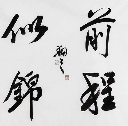 成人礼 广西书协会员 苏达鹏 前程似锦 书法