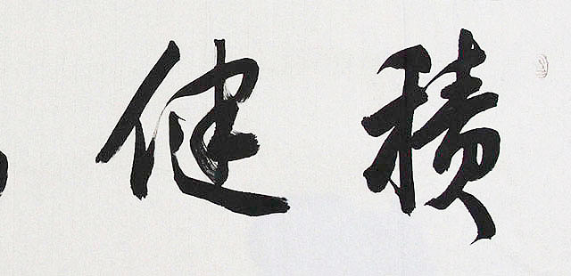 广西书协会员 苏达鹏 精品 书法