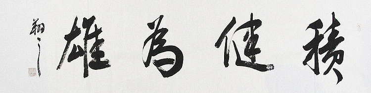 广西书协会员 苏达鹏 精品 书法