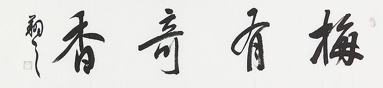 广西书协会员 苏达鹏 精品 书法