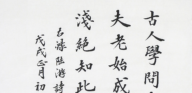 李金一 精品 书法