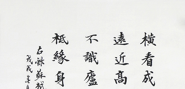 李金一 精品 书法