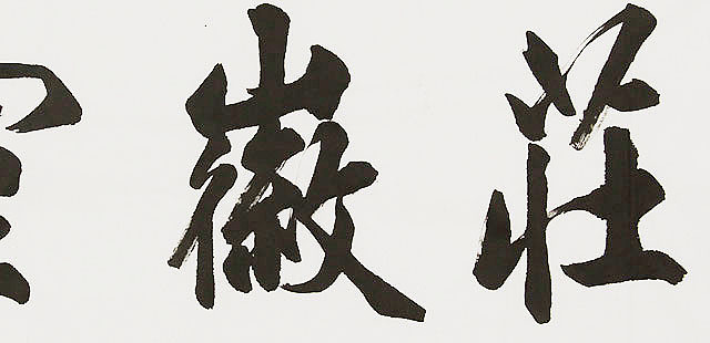  中国书画家协会理事 南景黎 书法