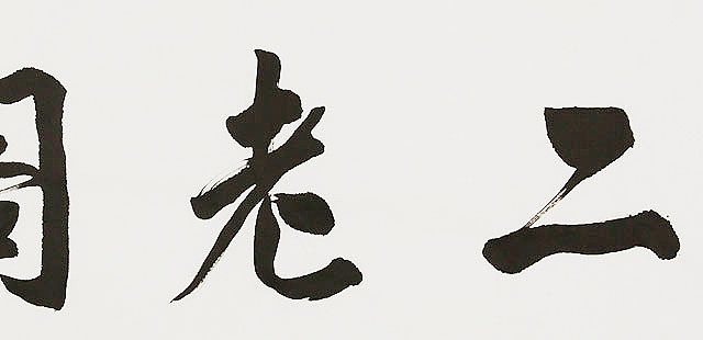  中国书画家协会理事 南景黎 书法