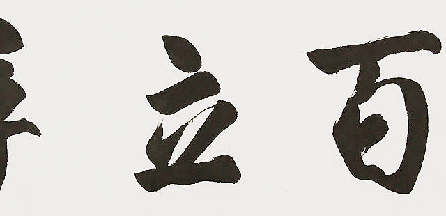  中国书画家协会理事 南景黎 书法