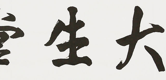 中国书画家协会理事 南景黎 书法