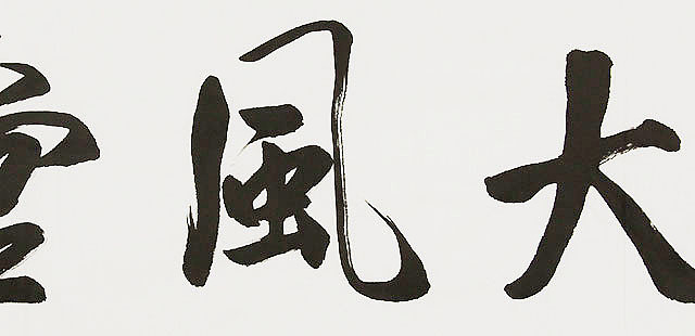  中国书画家协会理事 南景黎 书法