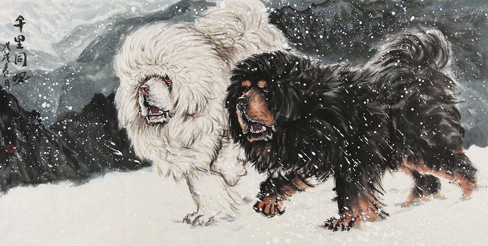 王贵邱花鸟画作品赏析藏獒与人的亲密无间雪域高原的威猛无敌博宝资讯