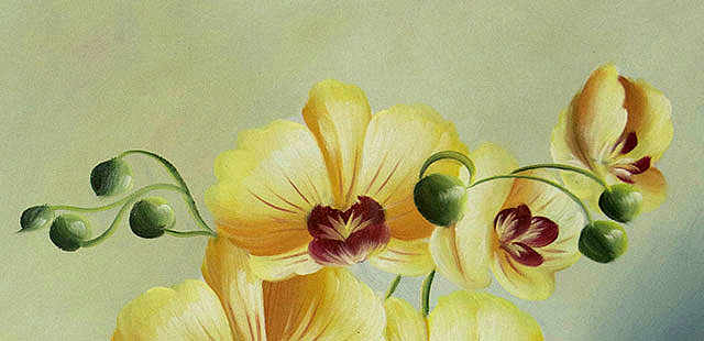 0B 限量周末惠  《静物&mdash;&mdash;优雅兰花》当代油画家 王露露  甄选精品油画