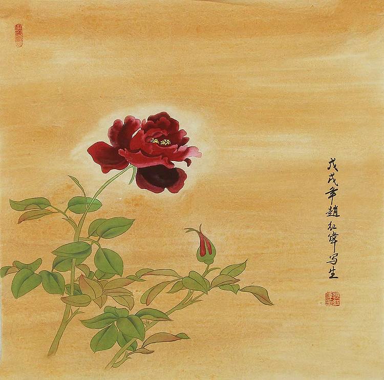职业画家 赵红伟 花鸟 国画