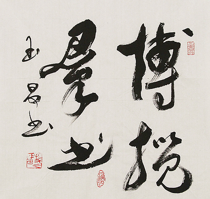 河北燕赵书画院理事  杨玉昌  书法