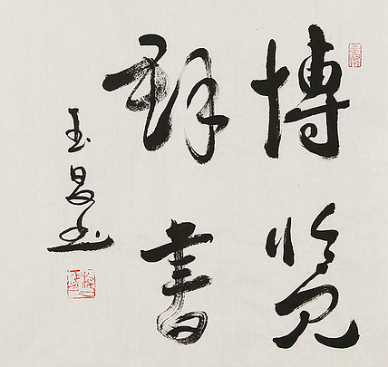 河北燕赵书画院理事  杨玉昌  书法