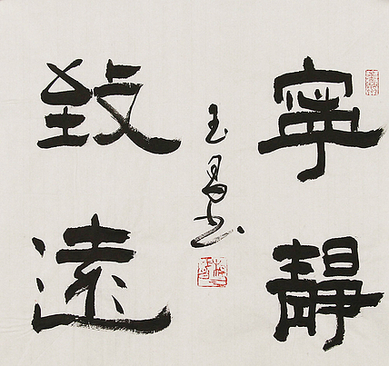 河北燕赵书画院理事  杨玉昌  书法