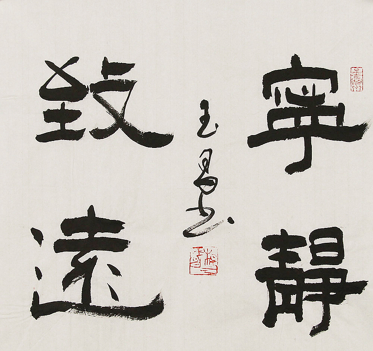 河北燕赵书画院理事  杨玉昌  书法