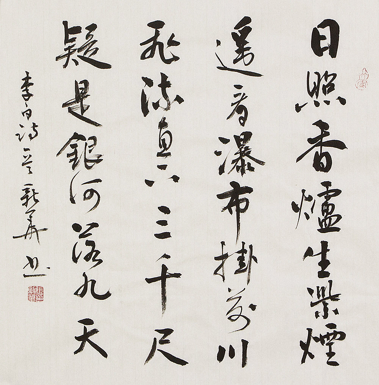 辽宁省书法家协会会员 张新华 书法