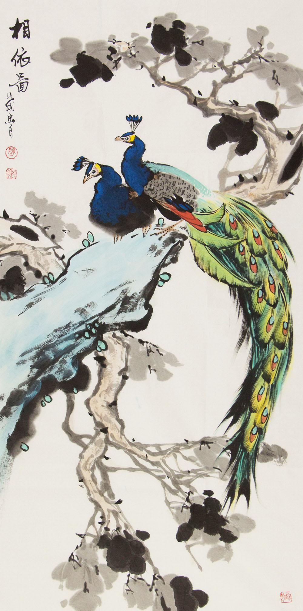 陈忠良花鸟画作品赏析 | 给孔雀以凤凰的灵魂,用孔雀表达他对凤凰的