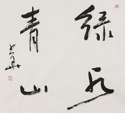 西藏书协副主席 中书协会员 冯少华 书法