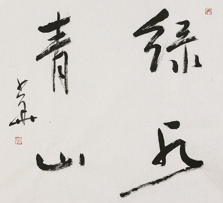 西藏书协副主席 中书协会员 冯少华 书法