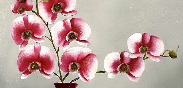 0B 青年油画家 王璐璐 油画精品 油画