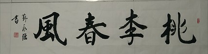 苏永强,中国书画家协会会员书法