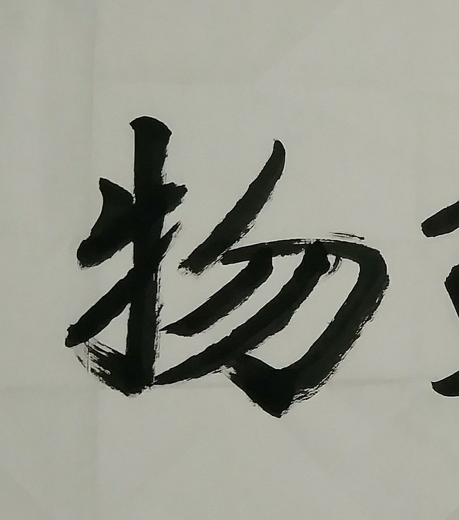 苏永强,中国书画家协会会员书法