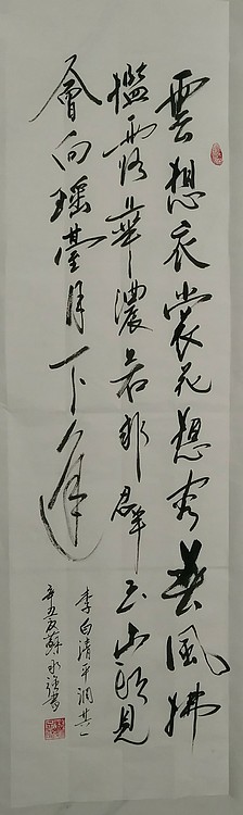 苏永强,中国书画家协会会员书法
