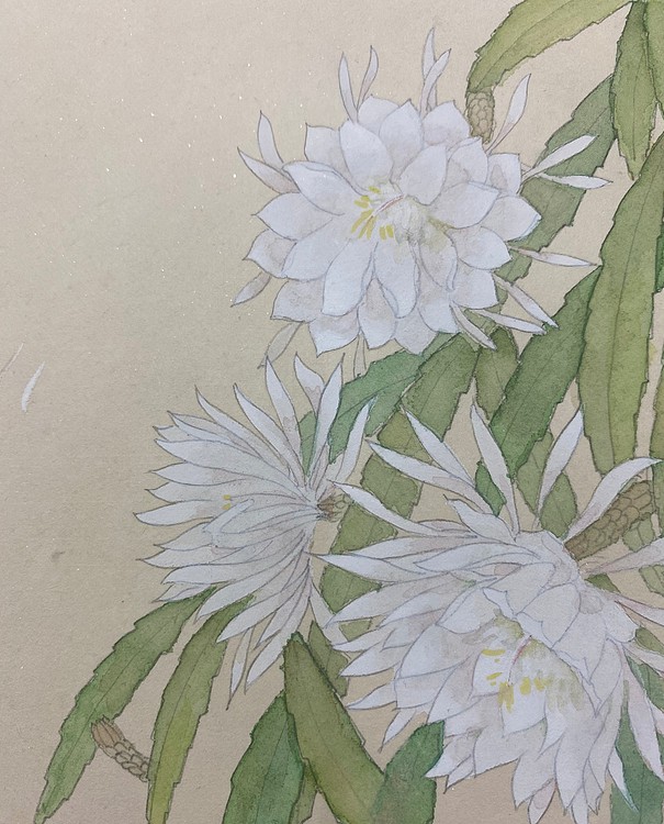 霍金云南师范大学国画系硕士 霍金 精品国画