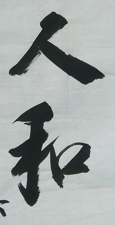 苏永强,中国书画家协会会员书法