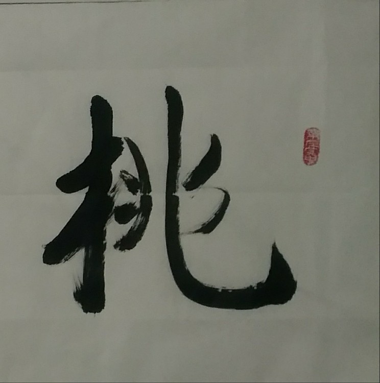 苏永强,中国书画家协会会员书法
