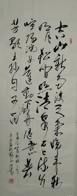 苏永强,中国书画家协会会员书法