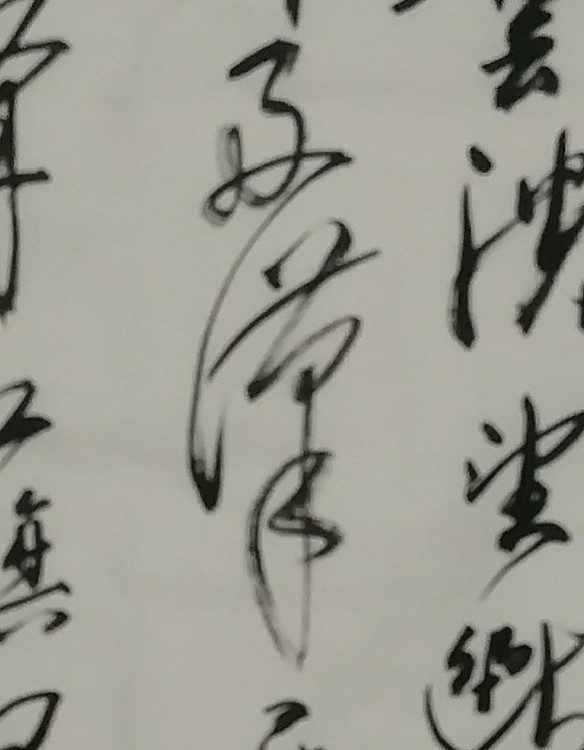 苏永强,中国书画家协会会员书法