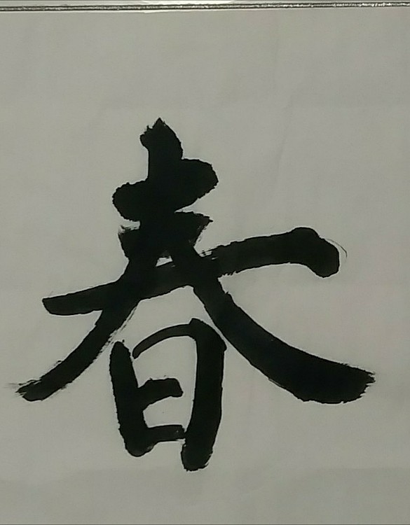 苏永强,中国书画家协会会员书法
