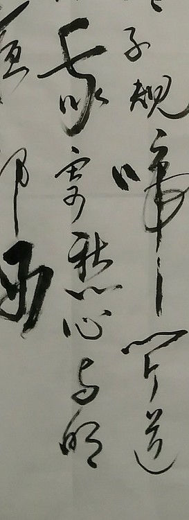苏永强,中国书画家协会会员书法