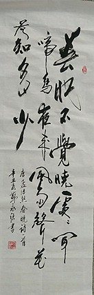 苏永强,中国书画家协会会员书法